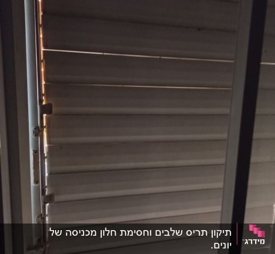 תריסים סגורים עם אור חודר בין החריצים